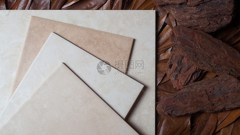 卫生间瓷砖背胶不刷会掉砖吗？揭秘瓷砖粘贴背后的秘密**